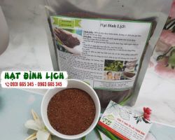 Hạt đình lịch có công dụng gì