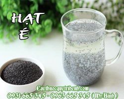 Hạt é