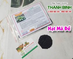 Hạt mã đề [công dụng cách dùng] địa chỉ mua bán chất lượng ở đâu?