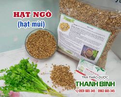 Hạt ngò [công dụng, cách dùng] mua ở đâu nguyên chất?