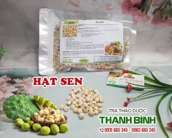 Hạt sen [công dụng, cách dùng] mua ở đâu nguyên chất?
