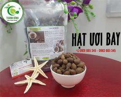 Hạt ươi có tác dụng gì tốt đối với sức khỏe
