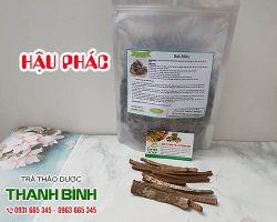 Hậu phác [công dụng, cách dùng] mua ở đâu nguyên chất?