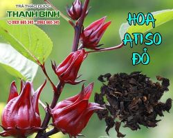 Hoa atiso có tác dụng giải độc gan tốt cho sức khỏe