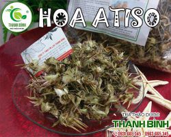 Hoa atiso mua ở đâu tại tphcm uy tín chất lượng nhất
