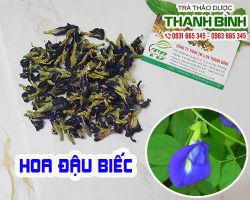 Hoa đậu biếc [tác dụng cách sử dụng địa chỉ mua bán giá tốt] mua ở đâu?