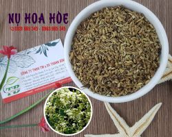 Hoa hòe chữa bệnh gì, tác dụng của hoa hòe khô ???