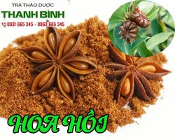 HOA HỒI [CÔNG DỤNG,CÁCH DÙNG] NGUYÊN CHẤT GIÁ RẺ UY TÍN?