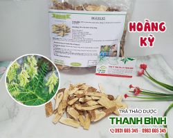 Hoàng kỳ [công dụng, cách dùng] mua ở đâu nguyên chất?