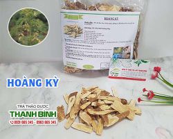 HOÀNG KỲ [ TÁC DỤNG, CÁCH LÀM ] MUA Ở ĐÂU NGUYÊN CHẤT GIÁ RẺ ?