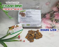 Hoàng liên [công dụng, cách dùng] mua ở đâu nguyên chất?