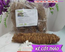Kê cốt thảo chữa bệnh gì, công dụng của kê cốt thảo