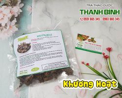 Khương hoạt [hình ảnh, công dụng] mua ở đâu uy tín chất lượng nhất ?