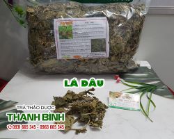 Lá dâu [công dụng, cách dùng] mua ở đâu nguyên chất?