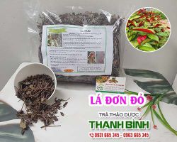 Lá Đơn Đỏ [ TÁC DỤNG, CÁCH DÙNG ] MUA Ở ĐÂU NGUYÊN CHẤT GIÁ RẺ ?
