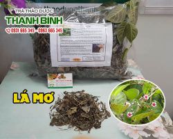 Lá mơ [công dụng, cách dùng] mua ở đâu nguyên chất?