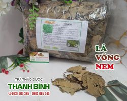 Lá vông nem [công dụng, cách dùng] mua ở đâu nguyên chất?
