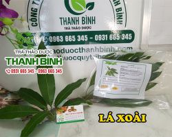 Lá xoài [công dụng, cách dùng] mua ở đâu nguyên chất