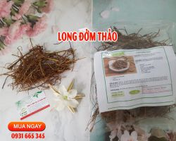 Long đởm thảo mua ở đâu uy tín chất lượng