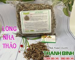 LONG NHA THẢO [ CÔNG DỤNG, CÁCH DÙNG ] MUA Ở ĐÂU NGUYÊN CHẤT GIÁ RẺ?