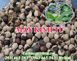 MẠN KINH TỬ