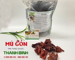 Mủ Gòn [ TÁC DỤNG, CÁCH LÀM ] MUA Ở ĐÂU NGUYÊN CHẤT GIÁ RẺ ?