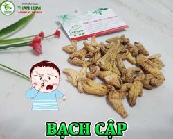 Mua bán bạch cập tại Cao Bằng có công dụng giúp thanh nhiệt cơ thể