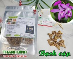 Mua bán bạch cập tại huyện Ba Vì chữa trong đờm có máu