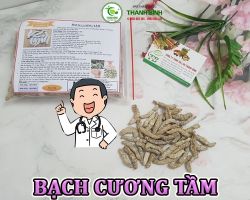 Mua bán bạch cương tầm tại Hà có công dụng cải thiện sinh lý cho nam rất tốt