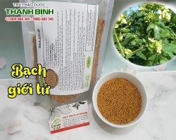 Mua bán bạch giới tử tại quận Hai Bà Trưng có tác dụng giảm đau