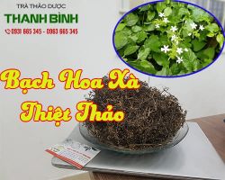 Mua bán bạch hoa xà thiệt thảo tại quận Tây Hồ hỗ trợ điều trị viêm da khá tốt