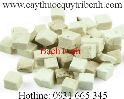 Mua bán bạch linh tại huyện Cần Giờ có tác dụng tăng cường hệ miễn dịch