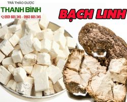 Mua bán bạch linh tại quận 10 ngăn ngừa lão hóa da