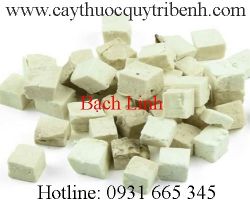 Mua bán bạch linh tại tp hcm uy tín chất lượng tốt nhất