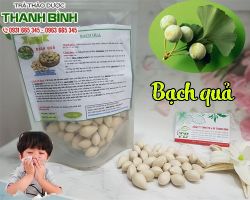 Mua bán bạch quả tại huyện Sóc Sơn trị bệnh đường tiết niệu