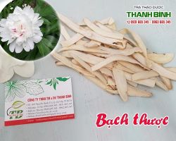 Mua bán bạch thược tại huyện Hoài Đức chữa hiếm muộn, yếu sinh lý