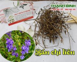 Mua bán bán chi liên tại huyện Mê Linh điều hòa huyết áp