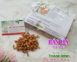 Mua bán bán hạ (củ chóc) tại quận Hà Đông có tác dụng chống ho rất tốt