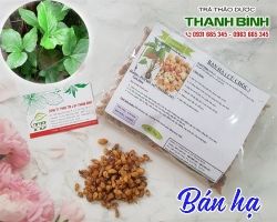 Mua bán bán hạ tại quận Thanh Xuân trị đờm nhiều, ngực đầy
