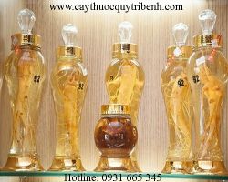 Mua bán bình ngâm rượu sỉ và lẻ ở quận Bình Thạnh giá cả rẻ nhất