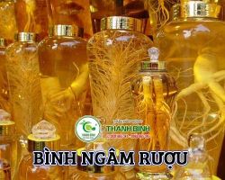 Mua bán bình ngâm rượu tại quận Đống Đa giá rẻ hợp lý nhất