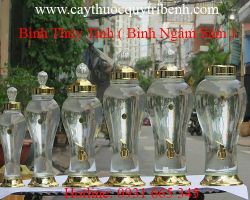 Mua bán bình thủy tinh ( bình ngâm sâm ) tại quận 6 giá cả hợp lý nhất