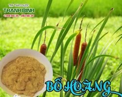 Mua bán bồ hoàng tại quận 3 giúp chữa trị đau do té ngã hiệu quả nhất