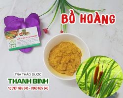 Mua bán bồ hoàng tại quận Thanh Xuân điều trị viêm vú