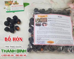 Mua bán bồ hòn ở quận Thủ Đức giúp điều trị hắc lào uy tín tốt nhất