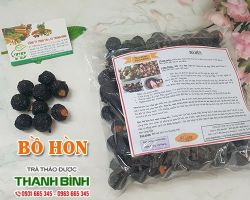 Mua bán bồ hòn tại huyện Mỹ Đức có tác dụng điều trị hôi miệng rất tốt
