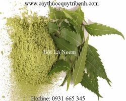 Mua bán bột lá neem uy tín tại Hòa Bình có tác dụng cung cấp độ ẩm da