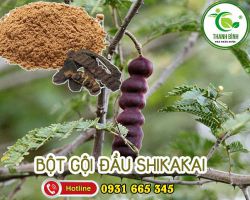 Mua bán bột shikakai ở quận Gò Vấp rất hiệu quả trong việc chữa gàu