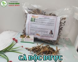 Mua bán cà độc dược tại Bắc Ninh hỗ trợ giảm đau nhức dây thần kinh tọa