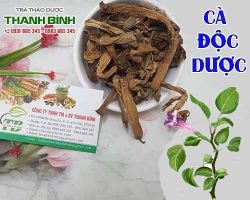Mua bán cà độc dược tại quận Cầu Giấy điều trị dị ứng